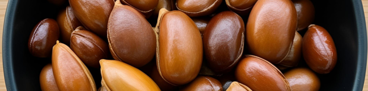 Oli Erboristici - guida completa 3 ARGAN