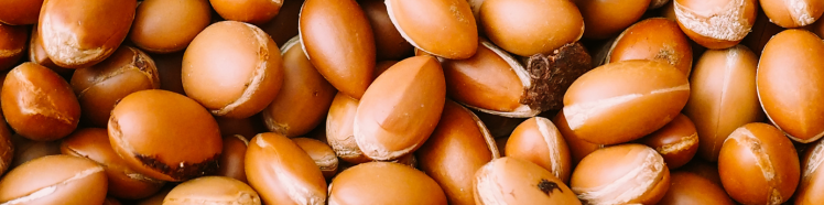 Oli Puri 100% - guida completa 2 argan 2
