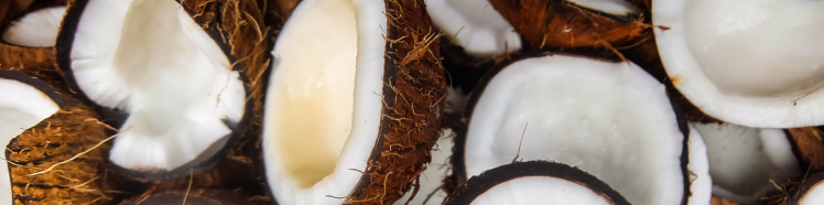Oli Puri 100% - guida completa 4 cocco