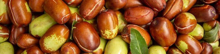 Oli Puri 100% - guida completa 5 jojoba
