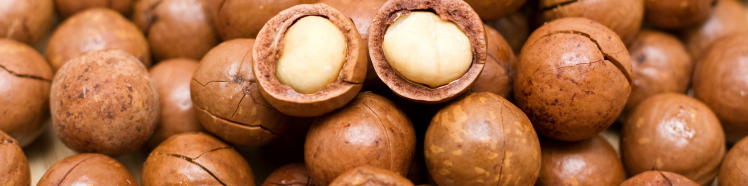 Oli Puri 100% - guida completa 7 macadamia