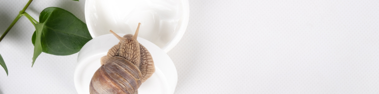 Bava di Lumaca: un Tesoro Naturale per Pelle e Capelli 3 lumaca3 1